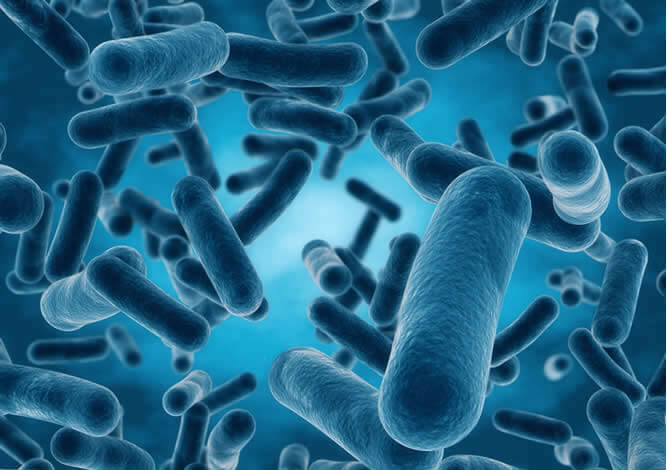 Pharmaceutical Microorganisms Product Testing